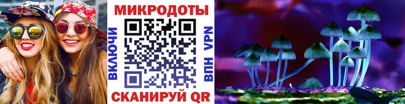 где продают   Темрюк  Псилоцибиновые грибы мухоморы 